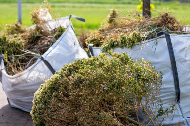 Best Professional Junk Removal  in Cullowhee, NC